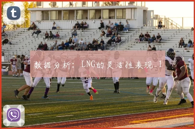 数据分析：LNG的灵活性表现_1
