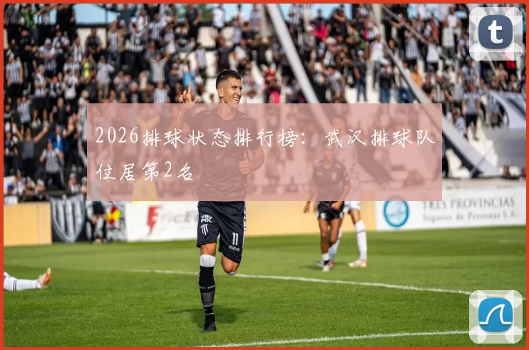 2026排球状态排行榜：武汉排球队位居第2名