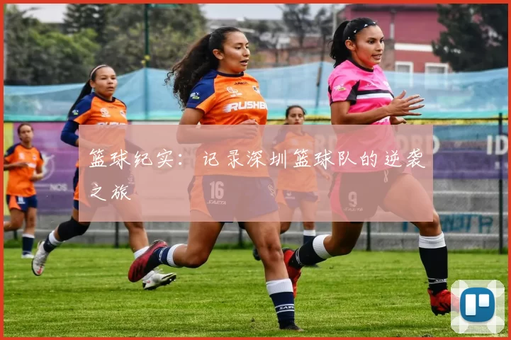 篮球纪实：记录深圳篮球队的逆袭之旅